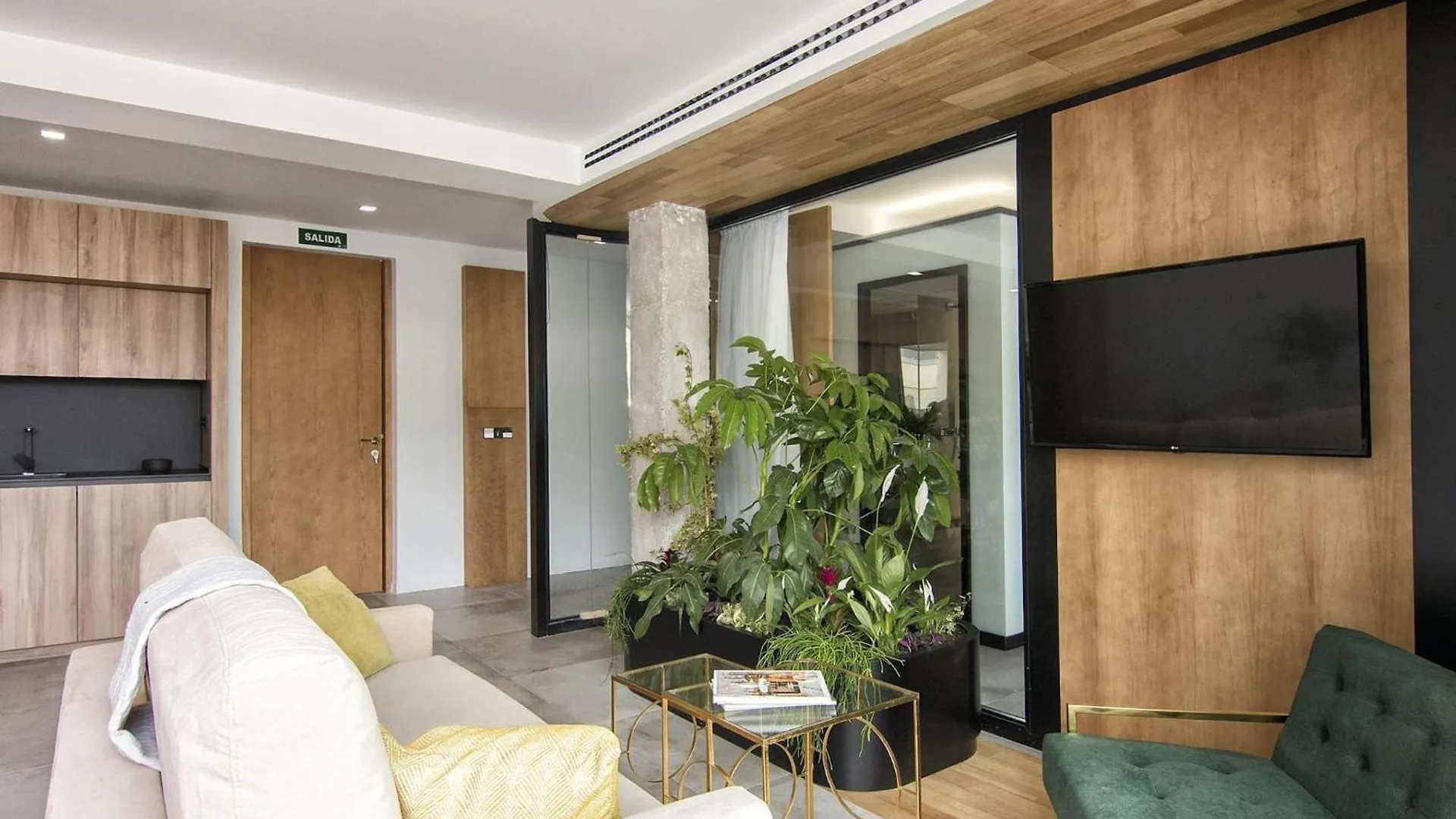 Luxury Alhambra Penthouse Collection Apartment Granada